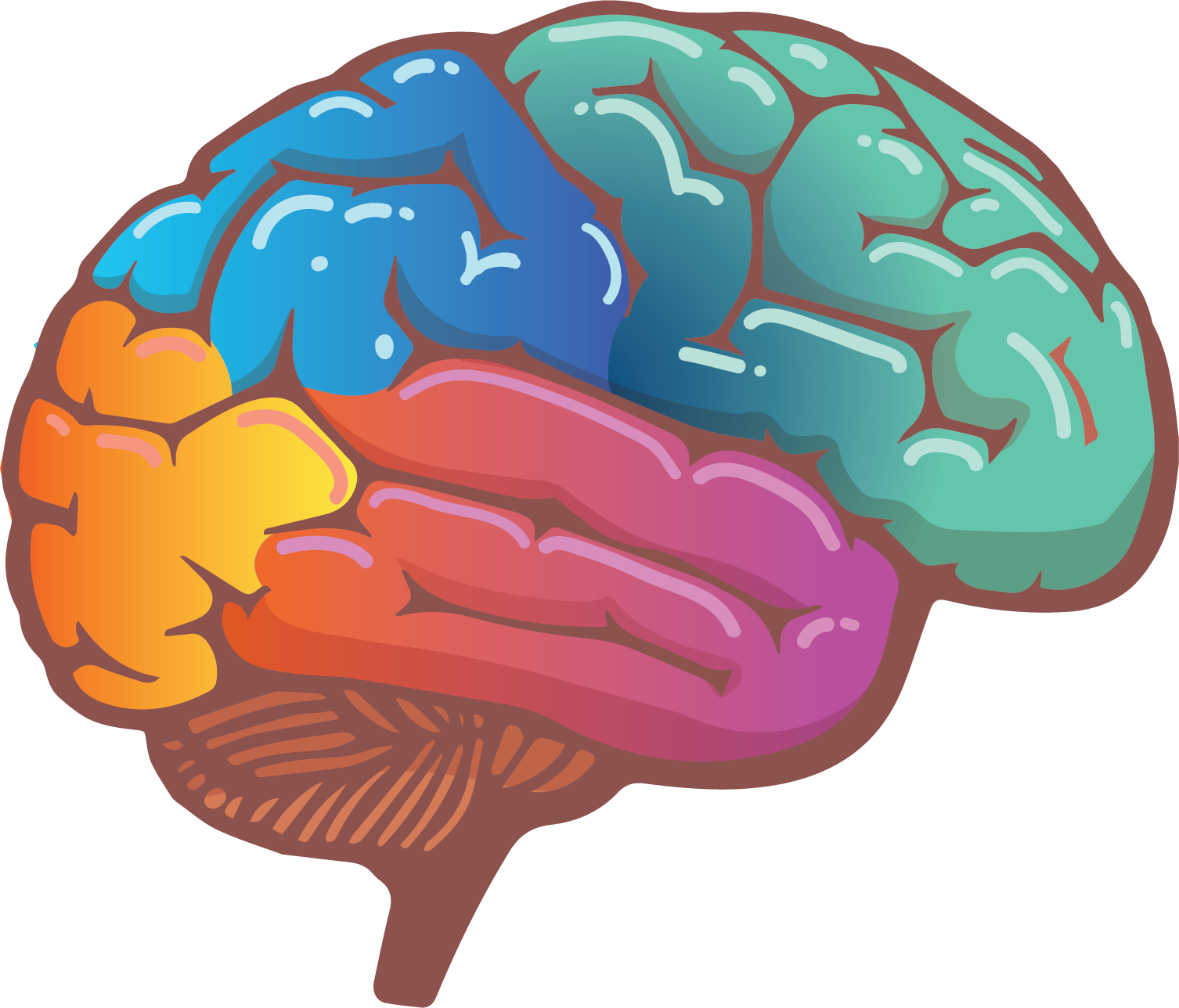 Brain Side view only copy